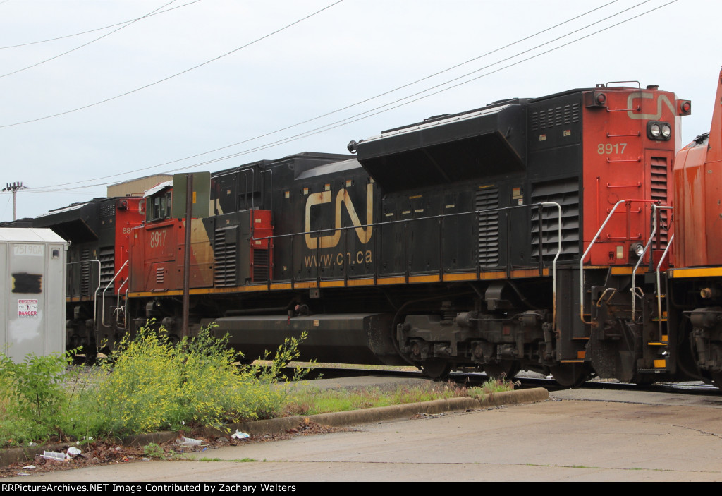 CN 8917